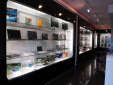 Zdj�cie 1